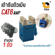 เต้ารับแลนตัวเมีย CAT6 RJ45 MODULAR JACK Female AMP เเละ XLL Jack RJ45 CAT6 ช่องเสียบต่อเข้ากับสายแล