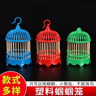 Boutique Cage Homemade Cage Can Reptile Gourd Bamboo Cage Bamboo Braided Hanger Ant Gras Cage Cricke