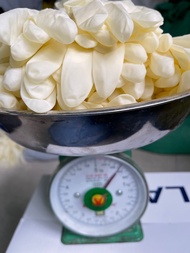 01 ki-lô-gam (200 đến 220 chiếc/ 100 đến 110 đôi ) găng tay y tế latex có bột Mega glove .