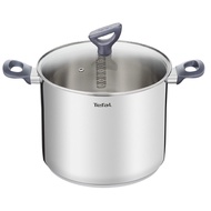 Tefal Daily Cook Stainless Steel Induction Stockpot (22cm, 6.2L) Dishwasher Oven Safe No PFOA Silver