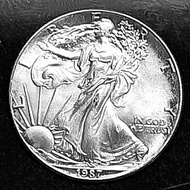 KOIN PERAK 1 oz 1987 American Silver Eagle  tooning