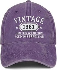 65th Birthday Gifts for Women Man Vintage 1960 Baseball Cap Meaningful Gifts Ideas, Purple, One Size