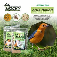 VOER PAKAN BURUNG ANIS MERAH