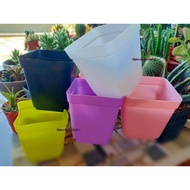 SQUARE FLOWER PLASTIC POT 7x7.5CM