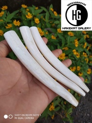 once pipa rokok tulang iga duyung RG 93