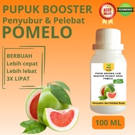Pupuk Pomelo Cepat Berbuah / Pupuk Pelebat Buah Pomelo / Pupuk Booster Pomelo Cair