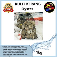 Osyter koi pond filter media plus waring 1kg oyster/ plus waring oyster/ koi pond filter media oyste