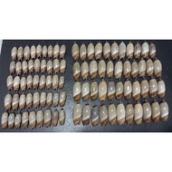 Toonia John Kochi shell 1 pcs