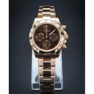 Seiko Mod Daytona Chocolate Full Rose Gold ⌚️