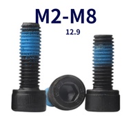 Hex Socket Cap Head Screws/Skru Allen Key Screw Alloy Steel Grade 12.9 M2M2.5M3M4M5M6M8 [FKY-G1]