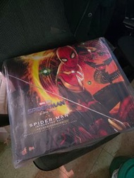 Hot Toys 蜘蛛俠 綜合戰甲 mms624