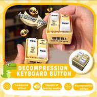 Look In My Eyes 回答我 Tell me why Stress Relief Toy Funny Keychain With 4 Voices and Light Bag Pendant
