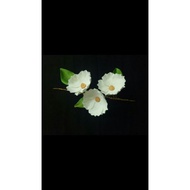 (320/PLK3) Gumpaste Flower Flower Anemone Gumpaste Flower