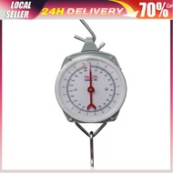 Hanging Scale/Hand held scale spring hook scale 100/200kg