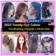 VIRTOK Free Bleaching Powder Pewarna Rambut Shoupin Hair Dye 染发剂 Multicolor Trendy Color Gray Purple