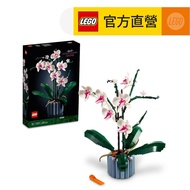[LEGO LEGO] Icons 10311 Orchid (Home Furnishing Planting)