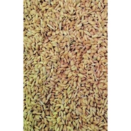 Makanan Burung Merpati 1kg