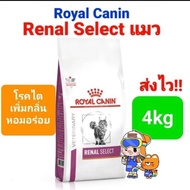 Royal Canin Renal 4 kg / Renal Select 4kg แมวโรคไต แมวเลือกกิน สูตรเพิ่มกลิ่น โรยัลคานิน ขนาด 4 กิโล