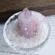 Cactus Amethyst 南非產地 仙人掌紫水晶 天然礦石 原礦