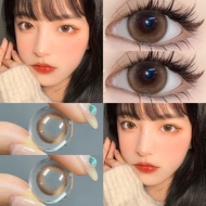 【-100°-800°】คอนแทคเลนส์ลายฮิต สายตาปกติ คอนแทคเลนส์ รายเดือน Toffee Brown 1 คู่- 14.2mm