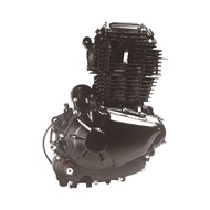 ZONGSHEN Engine PR250 Air-cooled 250cc Engine 4-Stroke Motorcycle Engine Assembly 6 Gears