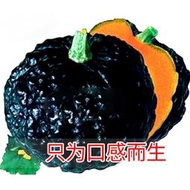 農家日本南瓜種子 種籽高產板栗貝貝南瓜種籽小疙瘩型巨型蔬菜種子 種籽