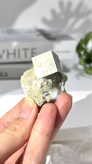 ✨【🇪🇸西班牙黃鐵礦「愚人金」—雙金礦】✨