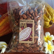 biji coklat organik kering fermentasi