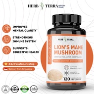 Herb Terra Lion’s Mane Mushroom Cognition 120 Capsules | Lion's Mane Mushroom Powder Extract Capsule
