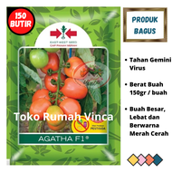 Benih Bibit Tomat Buah Super Besar AGATHA F1 150 Biji Cap Panah Merah