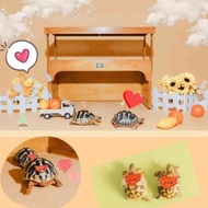 【林林木藝】夢想窩客製區 陸龜 爬蟲 爬箱 特寵 躲避屋 戶外養