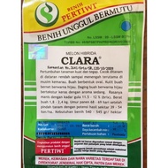 Benih Bibit Melon Pertiwi Clara