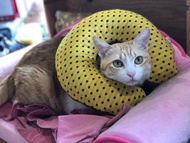 波點迷你充氣頸枕 - 小孩專用 - 黃色