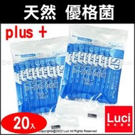 日本 Kefir SP plus 克菲爾 天然 優格菌 一份20包入 自製優格 親子 DIY 室溫培養 LUCI日本代購