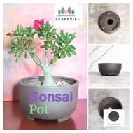The Leaferie Bonsai plant pots (5 Sizes) . Adenium planters pot . Desert rose flowerpots  Flower pot