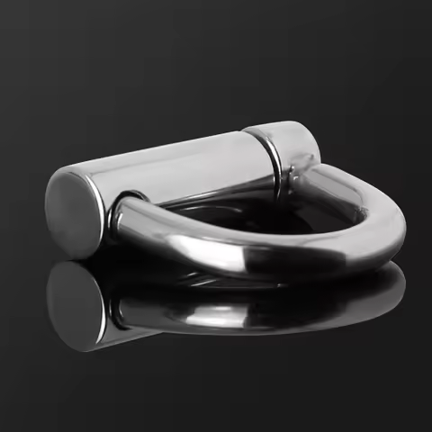 PA LOCK PRINCE ALBERT LOCKED CHASTITY PIERCING Titanium D-Ring PA Lock Glans Piercing STAINLESS STEE