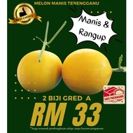 [Pakej A] Melon Manis Terengganu/ "Gold Honeydew" x 2 Biji MMT Gred A