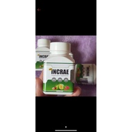 INCREA WEIGHT GAINER