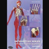 Complete Human Anatomy Series Primal 3D Interactive
