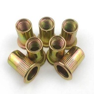 Pull Nut Rivet Nut Pull Rivet Pressure Rivet Nut Flat Head Column Rivet Nut Flat Head Vertical Nut M