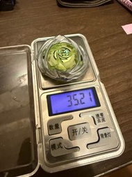現貨！Beyblade X 爆旋陀螺X   UX-21 高重 薯片龍  Hover Wyvern 可戰龍神 勇氣魔龍勇者 drakebrave G4-701 UX-00 紅天馬藍空力天馬戰神雷動 紅天