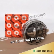 6012 2RS FAG BEARING