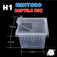 Hamtoro Gecko Box Kandang Besar Feeding Hamster/Reptil/Gecko