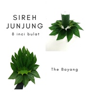 Sirih Junjung Hantaran Tanpa Bunga | Tapak Sireh Junjung | Diy Gubahan Hantaran Merisik Tunang Kawin