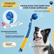 Swing Club Server Find Back Interactive Dog Bite Ball Training Dog Supplies Training Dedicated Teles
