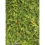 Usahawan Bumiputera Cili Padi Kampung Cili Burung Cili Api Kampung Pedas Segar Ready Stock