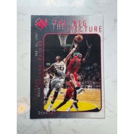 DENNIS RODMAN UD3 BIG PICTURE ACETATE NBA CARDS COLLECTIONS BULLS WORM