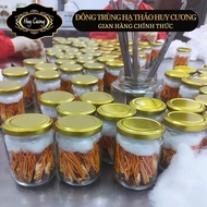Đông trùng hạ thảo nguyên con Huy Cương sấy thăng hoa (loại sợi nấm ngắn 20 con/hộp) ký chủ nhộng tằ