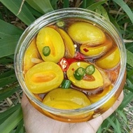 Jeruk buah kundang/star muda nise