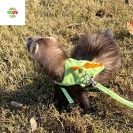 RADIV Pet Harness Leash, Flannel Cartoon Ferret Vest Harness, Soft Adjustable Dragon Design with Bel